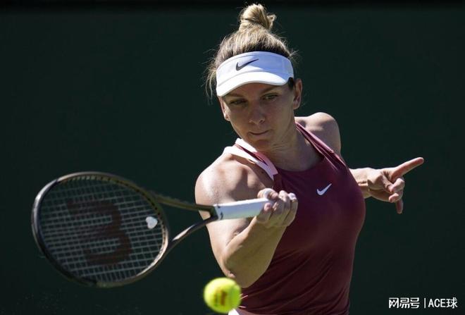 体中赢得了 体中赢得了